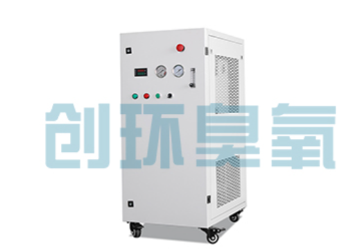 无锡石斑鱼养殖水质调控完整指南:臭氧发生器配置与操作步骤