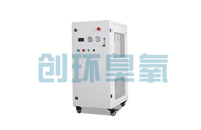 无锡比传统换水更高效?臭氧发生器在石斑鱼养殖中的水质净化原理解析