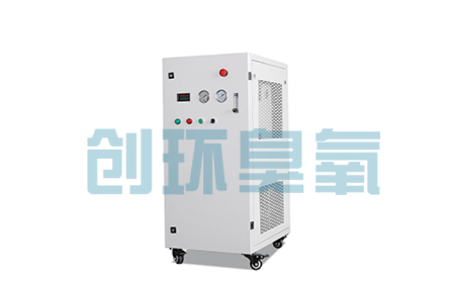 无锡比传统换水更高效?臭氧发生器在石斑鱼养殖中的水质净化原理解析